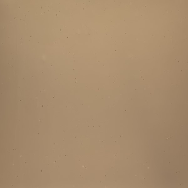 Light Bronze Transparent (OGT-518-1SF)