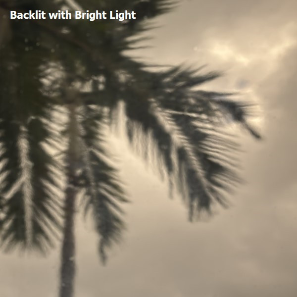 Light Bronze Transparent (OGT-518-1SF)