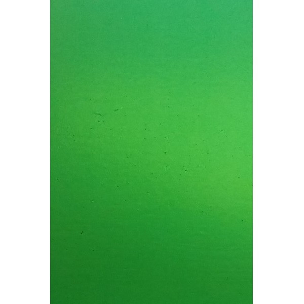 Garden Green Transparent (96-17-8) | Stained Glass For Less