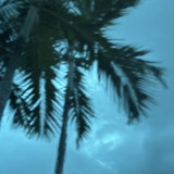 Sky Blue Transparent (OGT-533-1SF)