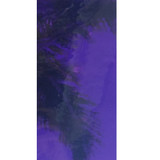 Dark Purple Transparent (AGC-107-6) - 6" x 12" Sheet