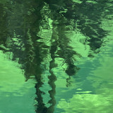 Light Green Waterglass (OGT-121WF) Light Green Waterglass (OGT-121WF)