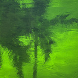 Irish Green Transparent (AGC-360) - 12" x 12" Sheet