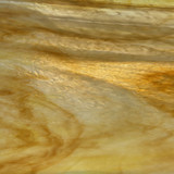 Meadowlark Pearl Art (OGT-6061-61CCF)
