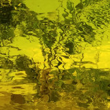 Yellow Waterglass (OGT-161WF)