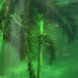 Medium Green Transparent (OGT-123SF)