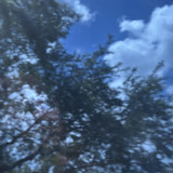 Pale Blue Transparent (OGT-130.8SF)