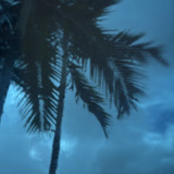 Steel Blue Transparent (OGT-538-4SF)