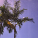 Pale Purple Transparent (OGT-140.8SF)