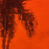 Orange Waterglass (OGT-171WF) Orange Waterglass (OGT-171WF)