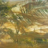 Pale Amber & White Wispy (OGT-319-02SF)