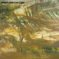 Pale Amber & White Wispy