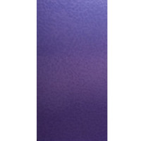 Purple Transparent Classic (311CC-6)