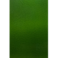Dark Green Transparent Classic (320CC-8)