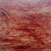 Red & White Flemish Opal (AGC-112) - 12" x 12" Sheet