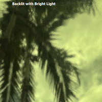 Lime Green Transparent (OGT-60-731-2SF)