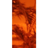 Orange Transparent (OGT-171SF-6) - 6" x 12" Sheet