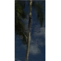 Gray Transparent (AGC-816-6) - 6" x 12" Sheet