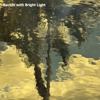 Pale Amber Waterglass (OGT-110.2WF)