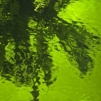 Moss Green Waterglass (OGT-526-2WF)