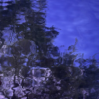 Grape Waterglass (OGT-543-2WF)