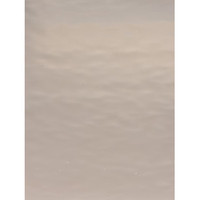 Champagne Waterglass (OGT-591-1W-9) - 9" x 12" Sheet