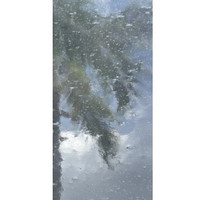 Clear Seedy (OGT-100SDY-6) - 6" x 12" Sheet