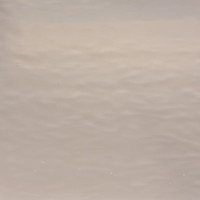 Champagne Waterglass (OGT-591-1W)