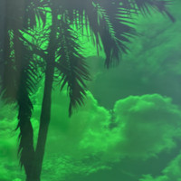 Dark Green Transparent (OGT-125SF)