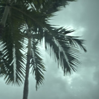 Sea Green Transparent (OGT-528-1SF)