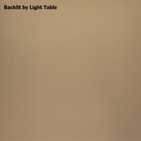 Light Bronze Transparent (OGT-518-1SF)