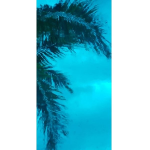 Turquoise Blue Transparent (AGC-110-6) | Stained Glass For Less