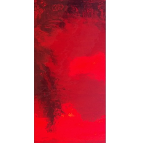 RED ASHAY LIONレッドアッシェイ ライオンFrosted Glass Red Wing Safety Boots - Unisex Medium Weight Safety Glasses