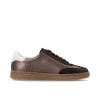 Remonte D2C05-90 Metallic Bronze & Dark Brown Low Sneaker | newshoes.ie