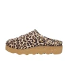 Rohde Foggia Clog - Plüsch 6102-18 Leopard Ginger Mule | newshoes.ie