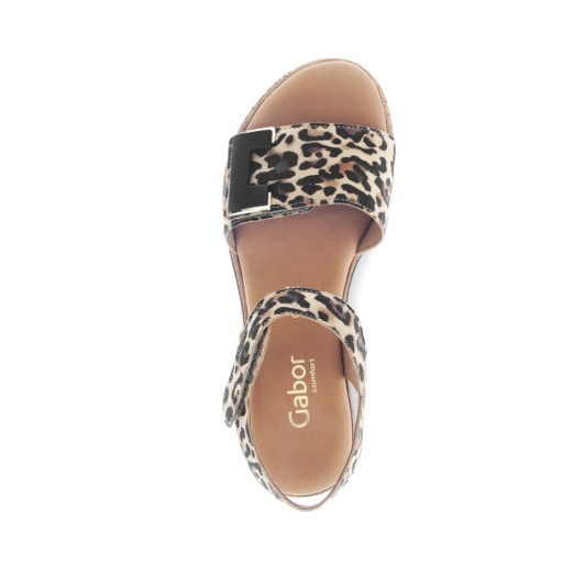 Gabor 62.700.90 Leopard Platform Sandal | newshoes.ie