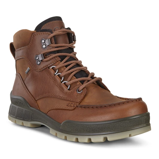 Ecco Track 25 GTX 831704-52600 Bison Men's High Boot | newshoes.ie