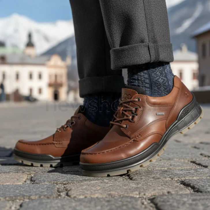 Ecco Track 25 M GTX 831714-53010 Bison Men's Casual Shoe