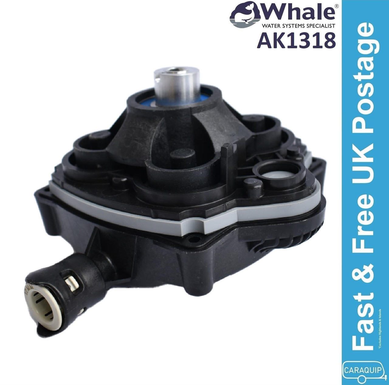 whale fp0814