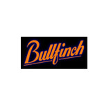 Bullfinch Gas