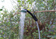 Leisurewize Rechargeable Portable Shower Camping