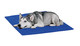 Streetwize Dog & Cat Cooling Mat Large