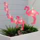 Gardenwize 2m Solar Flamingo LED String Lights (10 Piece)