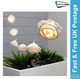 Gardenwize 2m Solar Rose Flower LED String Lights (20 Piece)