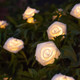 Gardenwize 2m Solar Rose Flower LED String Lights (20 Piece)