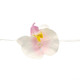 2m Solar Orchid Flower LED String Lights