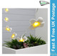 Gardenwize 2m Solar Frangipani Flower LED String Lights (20 Piece)