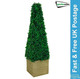 Gardenwize Solar Obelisk Topiary