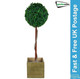 Gardenwize Solar Single Bay Ball Tree in Pot