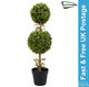 Gardenwize Solar Double Bay Ball Tree in Pot